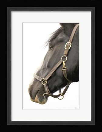 Framed In Halter Print