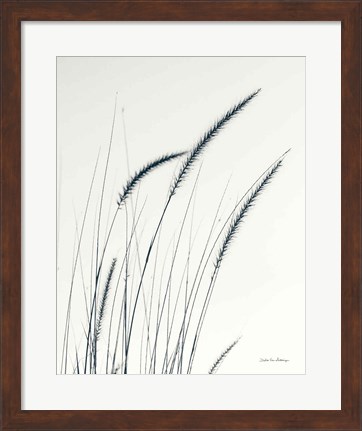 Framed Field Grasses III Crop Print