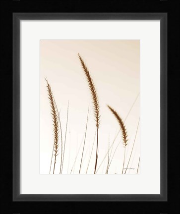 Framed Field Grasses IV Sepia Print