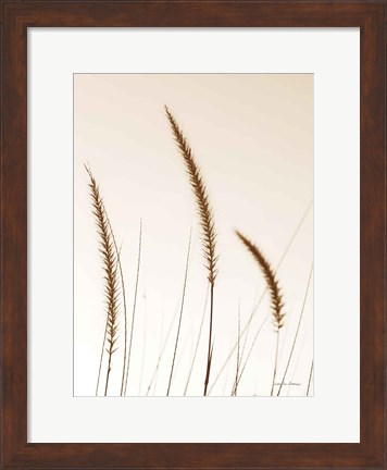 Framed Field Grasses IV Sepia Print