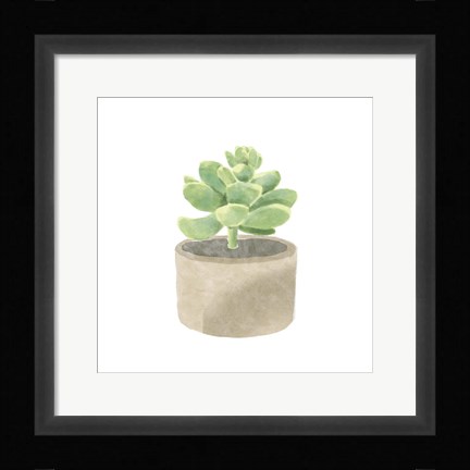Framed Simple Succulent II Print