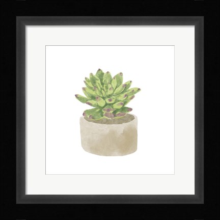 Framed Simple Succulent III Print