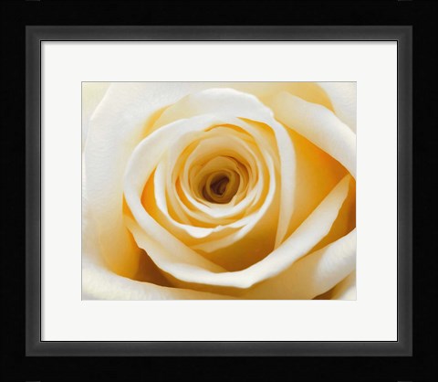 Framed Gold Rush Print