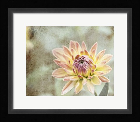 Framed Impression Flower Print