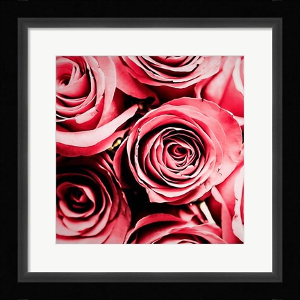 Framed Moonlight &amp; Roses Print