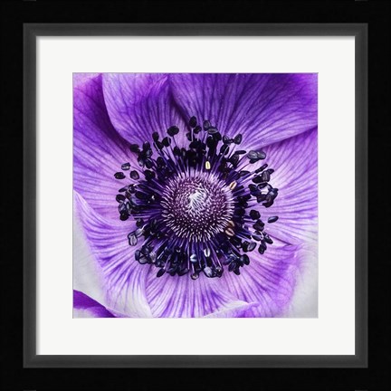 Framed Not Like the Rest Print