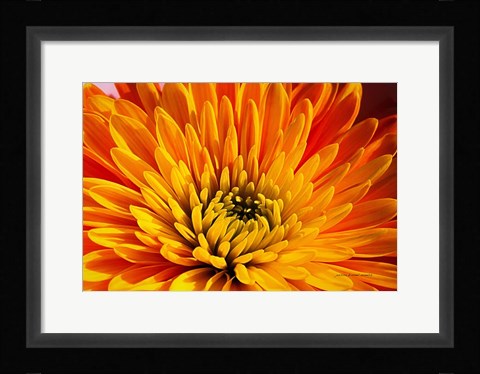 Framed Other Beautiful Things Print