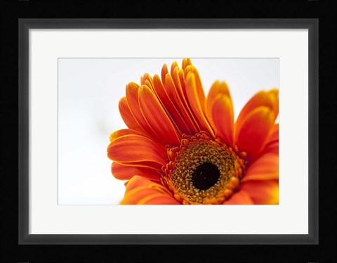 Framed Poetry Is Print