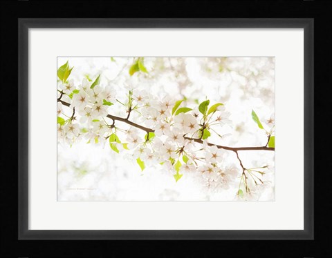 Framed Pretentiously Elegant Print