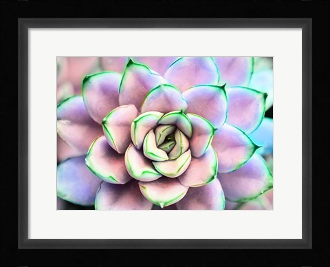 Framed Succ You Print
