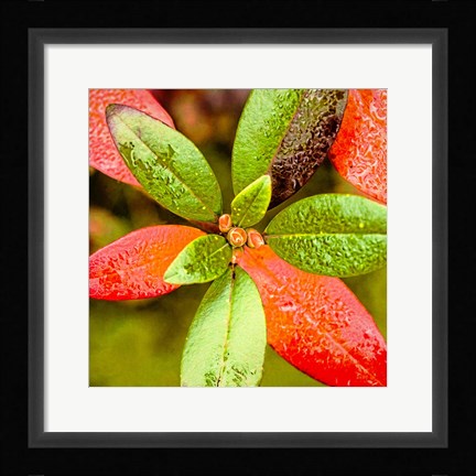 Framed Tis the Season Print