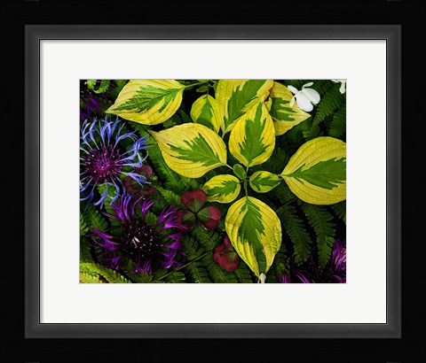 Framed Welcome to the Jungle Print