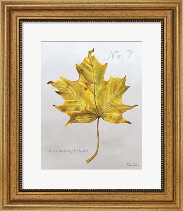 Framed Autumn Leaves on Gray II-Maple 2 Print