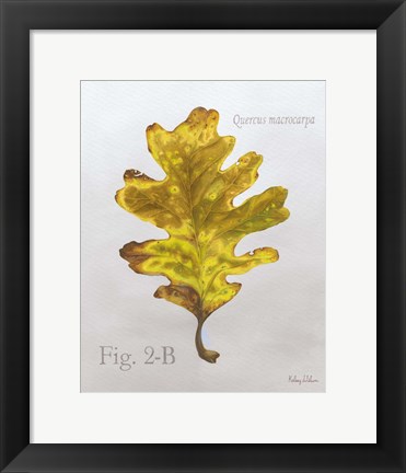 Framed Autumn Leaves on Gray III-Oak Print