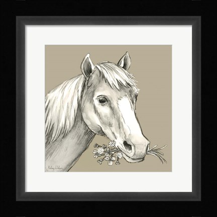 Framed Horse Print