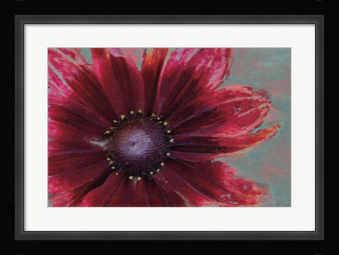 Framed Garden Dream I Print