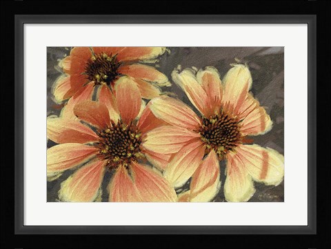 Framed Garden Dream VI Print