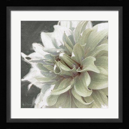 Framed Garden Dream X Print