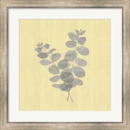 Framed Natural Inspiration Eucalyptus Gray &amp; Yellow I Print