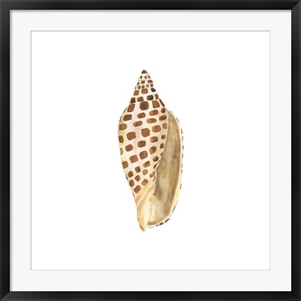 Framed Oceanum Shells White II-Junonia Print