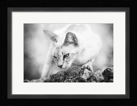 Framed Heart of a Lion Print