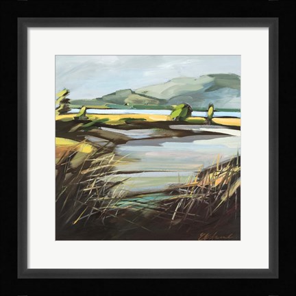 Framed Pantano Print