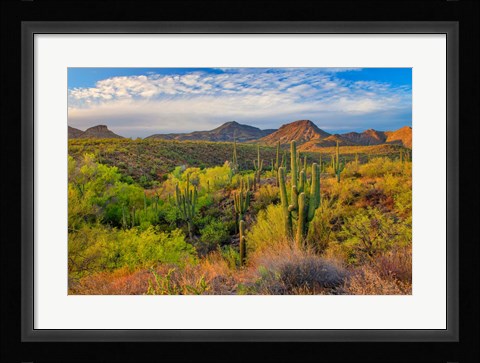 Framed Jewel Evening Print