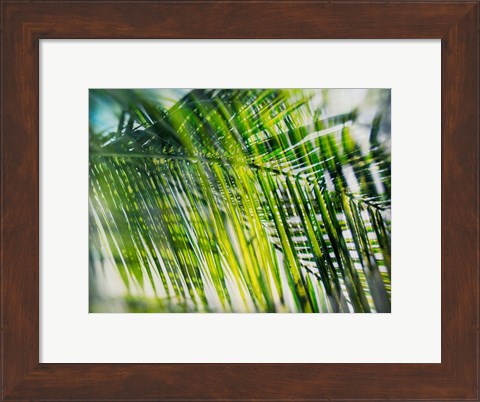 Framed Evergreen No. 8 Print