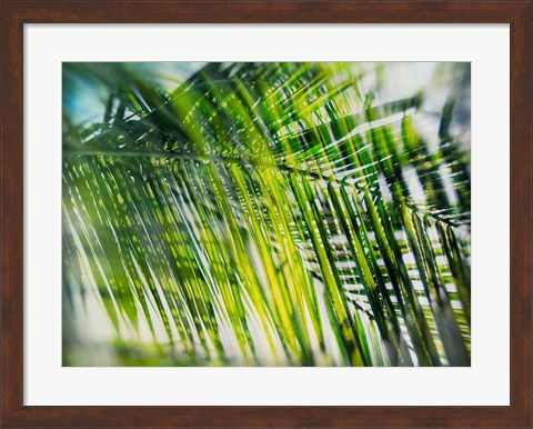 Framed Evergreen No. 8 Print