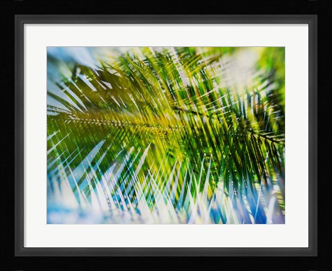 Framed Evergreen No. 9 Print