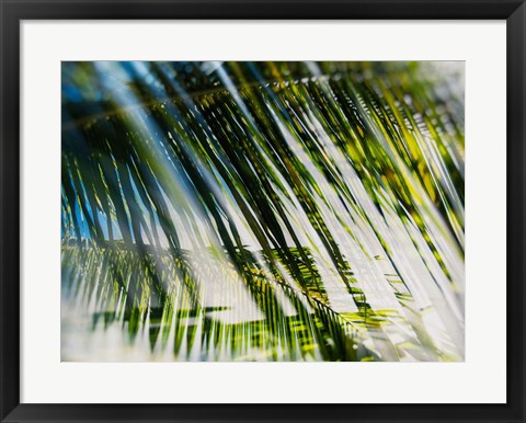 Framed Evergreen No. 10 Print
