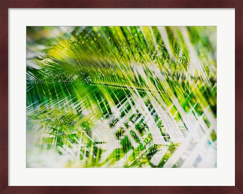 Framed Evergreen No. 11 Print