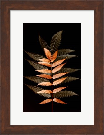 Framed Fall Leaves 6 Print