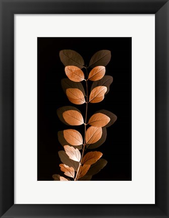 Framed Fall Leaves 7 Print