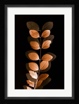 Framed Fall Leaves 7 Print