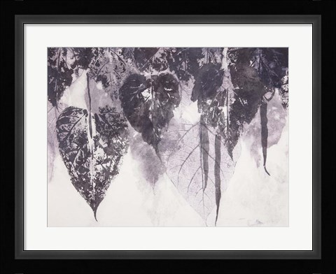 Framed Bean Tree Print