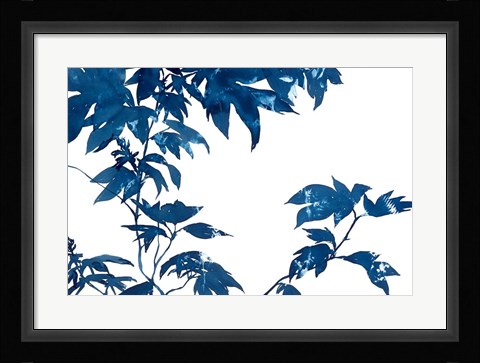 Framed Quercifolia Print