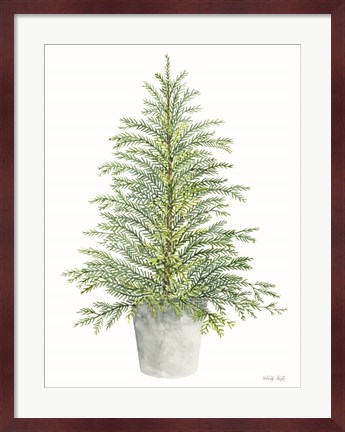 Framed Spruce Tree in Pot Print