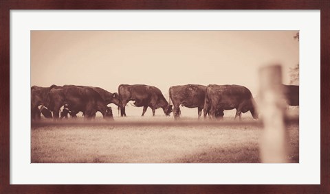 Framed Cattle Row Print
