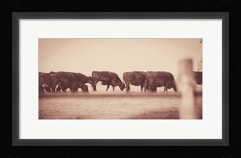 Framed Cattle Row Print