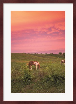 Framed Horse at Sunset Print