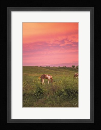 Framed Horse at Sunset Print