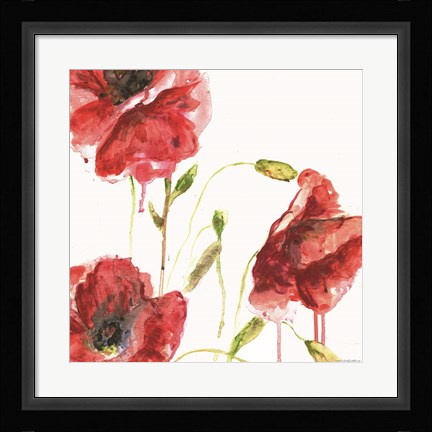 Framed Poppies Print
