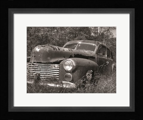 Framed Rust Bucket Print