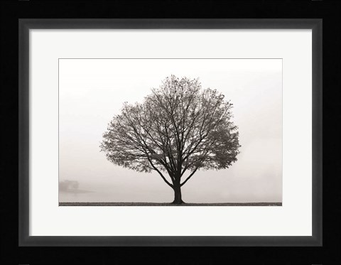 Framed Flying Solo Print