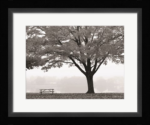 Framed Empty Table Print