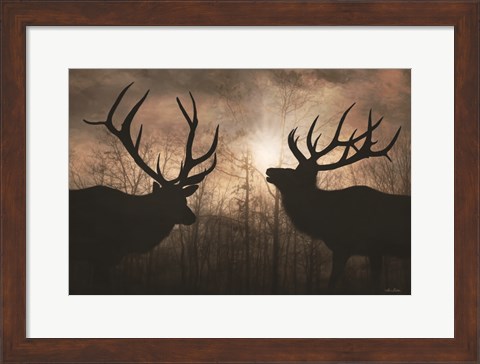 Framed Elk Sunrise III Print