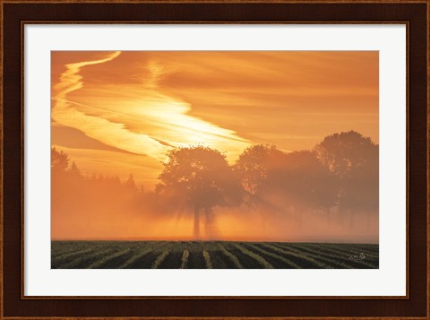 Framed Morning Glory Print