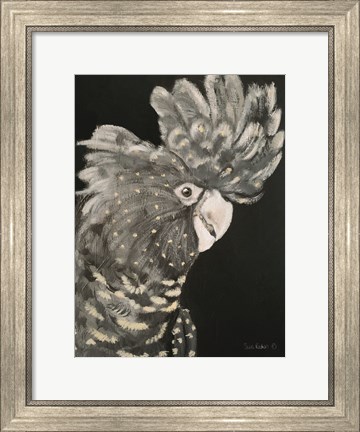 Framed Gray Cockatoo Print