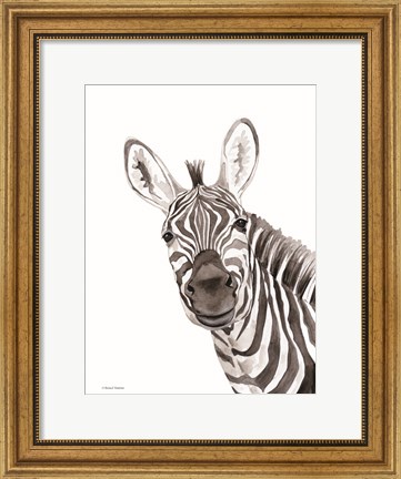 Framed Safari Zebra Peek-a-boo Print